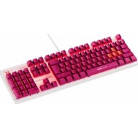 K5 Skillkorp