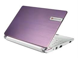Notice PACKARD BELL DOT SC/VW-001FR,  DOT SC-001FR Netbook