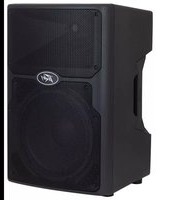Notice PEAVEY PVXP 12 DSP Pregnant