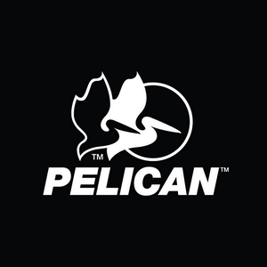 Bass raider 10e Pelican