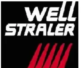 Well Straler ADIA - Kamin
