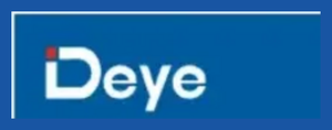 Deye CHNTDDSU666 - Uncategorized