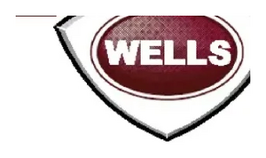 Wells