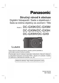 Lumix DC-GX9H PANASONIC