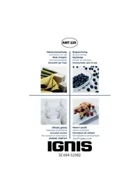 AMT 229 IGNIS