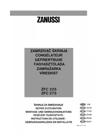ZANUSSI ZFC 225 - Gefrierschrank
