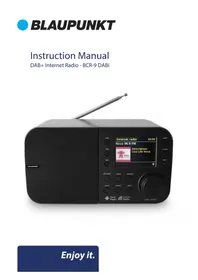 BLAUPUNKT BCR-9DABi - Radio