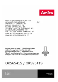 OKS 9541 S AMICA