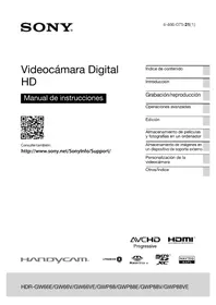 SONY HDR-GWP88E - Cámara de video