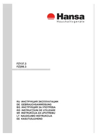 FZ137.3 Hansa