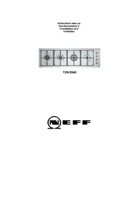 T29R66N1,  T29TA79N0 NEFF