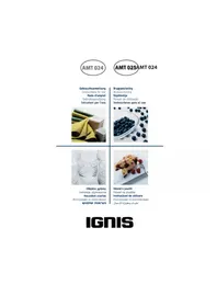 IGNIS AMT 024 IX - Magnetron
