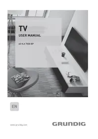 65 VLX 7500 BP GRUNDIG