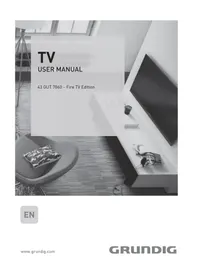 49 GUT 7060 GRUNDIG