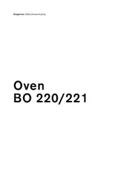 BO 221-100 GAGGENAU