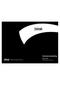Bravo SN 15 S FERROLI