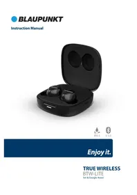 BTW-Lite BLAUPUNKT