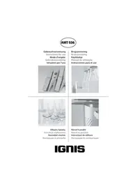AMT 036 IGNIS