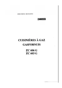 ZC 603 GE GEBU ZANUSSI