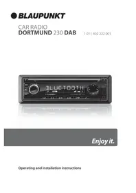 BLAUPUNKT Dortmund 230 DAB - Car radio