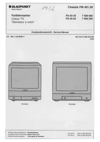 BLAUPUNKT PS 45-29 - Téléviseur