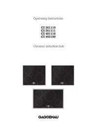 CI 481-110 GAGGENAU