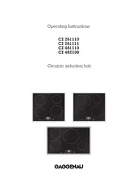 CI 482-100 GAGGENAU