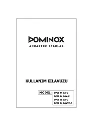 DPFI 5 4 GAV TC C Dominox