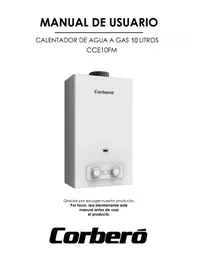 CORBERO CCE10FMGB - Chaudière