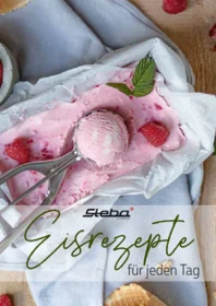 EIS Rezeptheft STEBA