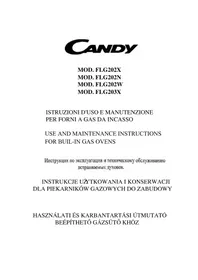 FLG 202 X CANDY
