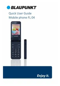 FL 04 BLAUPUNKT