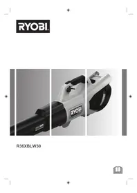 R36XBLW30 RYOBI