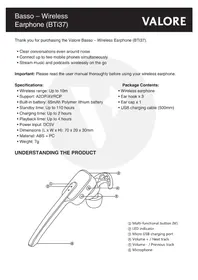 BTi37 Valore