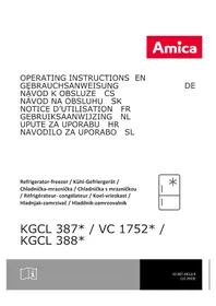 KGCL 388 160 E AMICA