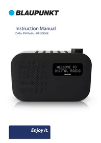 BR-50DAB BLAUPUNKT