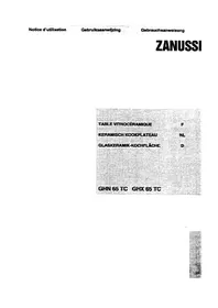 Manuale ZANUSSI GHN X 65 TC Cucina