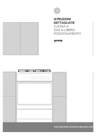 GI613E10WKA GORENJE