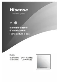 GM663XHFSI HISENSE