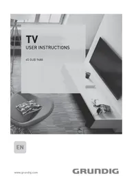 65 GUB 9688 GRUNDIG