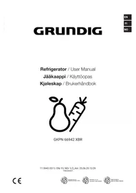GKPN 66942 XBR GRUNDIG