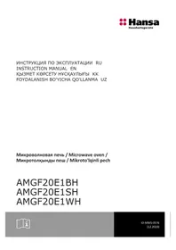 AMGF20E1BH Hansa