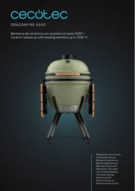 Dragonfire 6000 CECOTEC