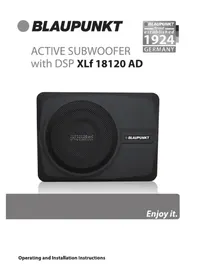 BLAUPUNKT XLf 18120 AD - Non catégorisé
