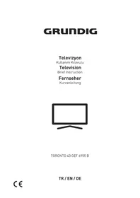TORONTO 43 GEF 6955 B GRUNDIG