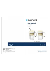 BLAUPUNKT BP-GZ02S - Non catégorisé