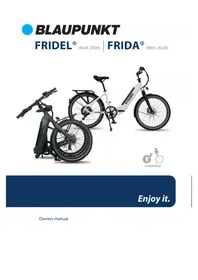 FRIDEL BLAUPUNKT