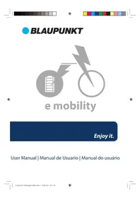 HENRI 500 BLAUPUNKT