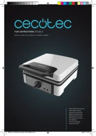 Fun Gofrestone Double CECOTEC