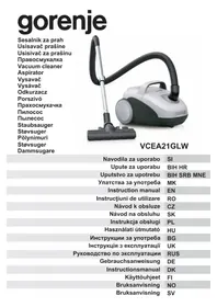 VCEA21GLW GORENJE